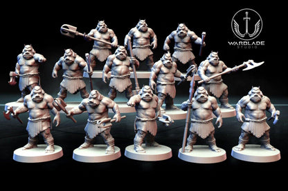 13 x gamorrean proxy - star wars legion shatterpoint compatible warblade