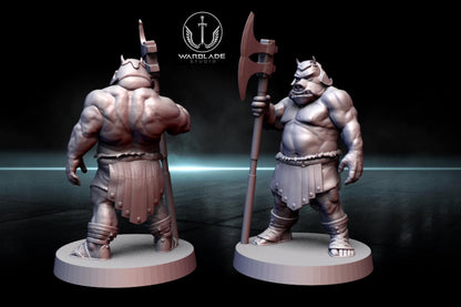 13 x gamorrean proxy - star wars legion shatterpoint compatible warblade