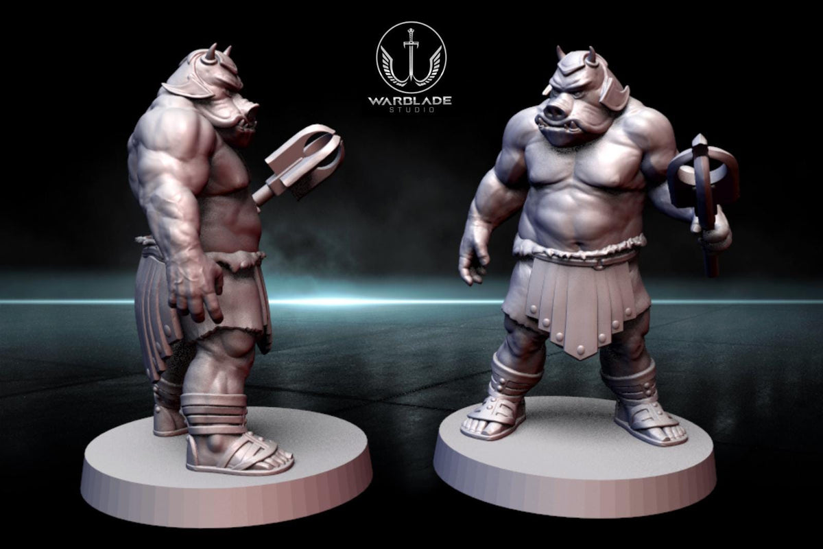 13 x gamorrean proxy - star wars legion shatterpoint compatible warblade