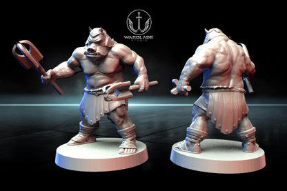 13 x gamorrean proxy - star wars legion shatterpoint compatible warblade