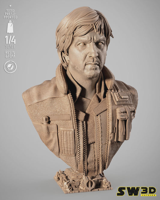 Cassian andor portrait bust star wars themed 3d bust / sculpture by sw3d