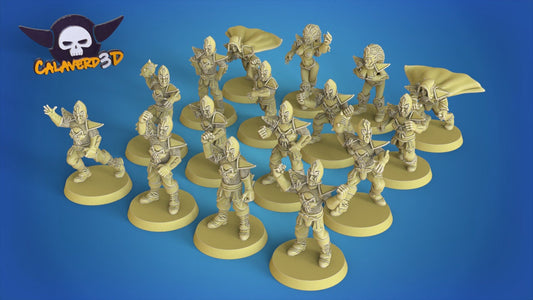 Dark Elves Fantasy Football team - Calaverd