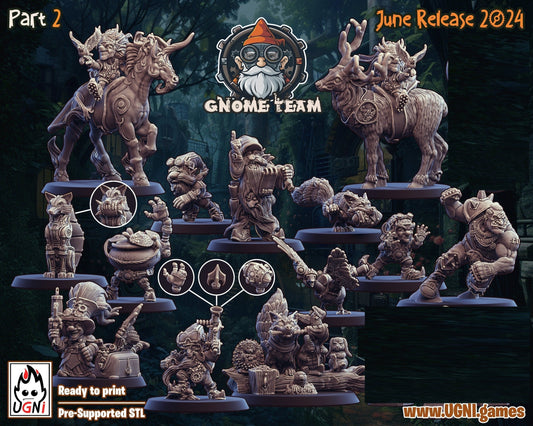 Part 2 Gnome Fantasy Football Team