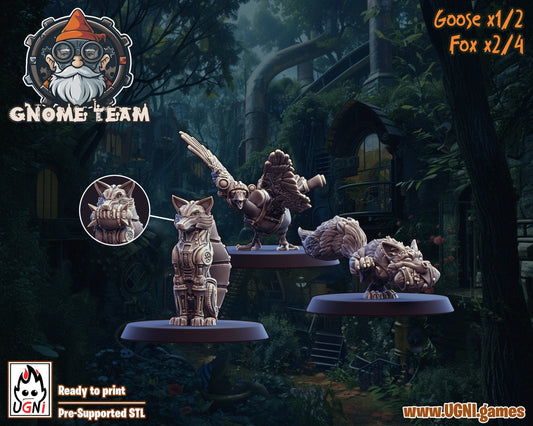 Full Gnome Fantasy Football Team   inc extras from part2 release