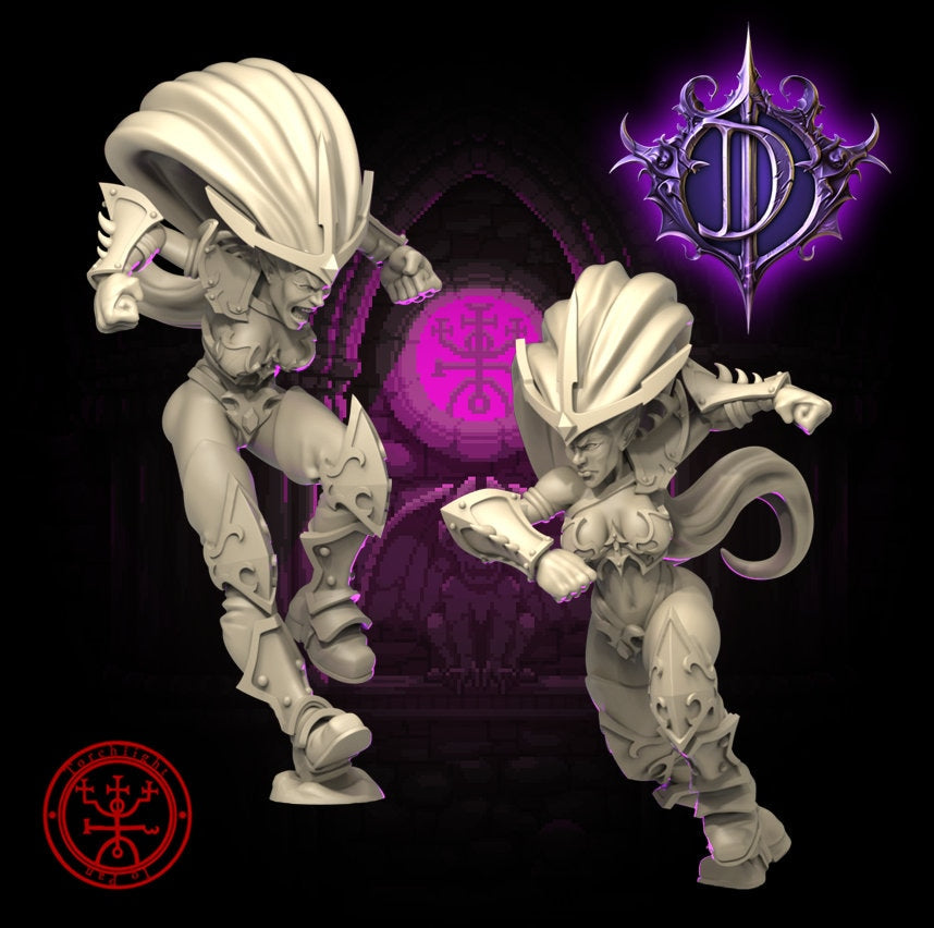 Dark Elves / Elf 'The Dark Daggers' Fantasy Football team -