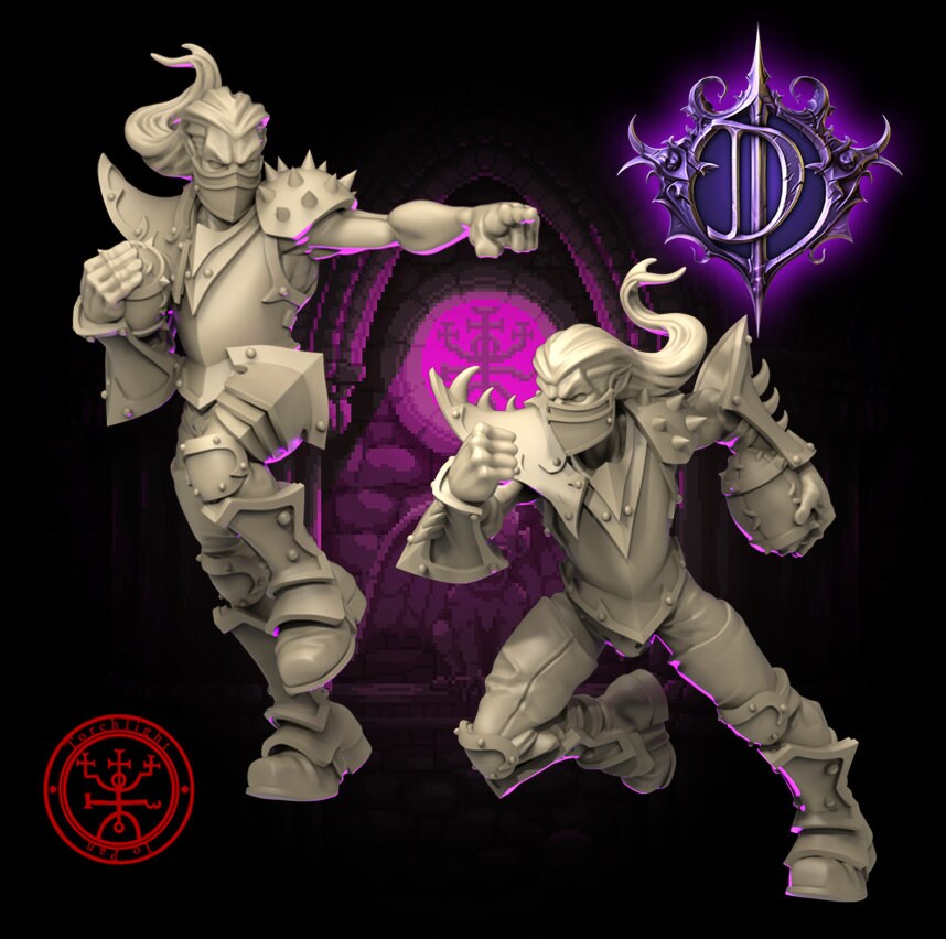 Dark Elves / Elf 'The Dark Daggers' Fantasy Football team - Torchlight TLM