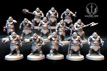 13 x Gamorrean proxy - Star Wars Legion Shatterpoint compatible Warblade