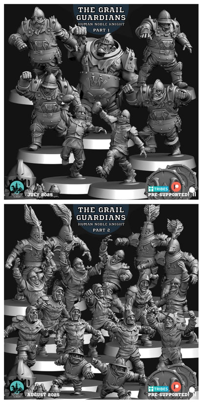 Human / Nobility Team Fantasy Football Team - Realm Paths The Grail Guardians